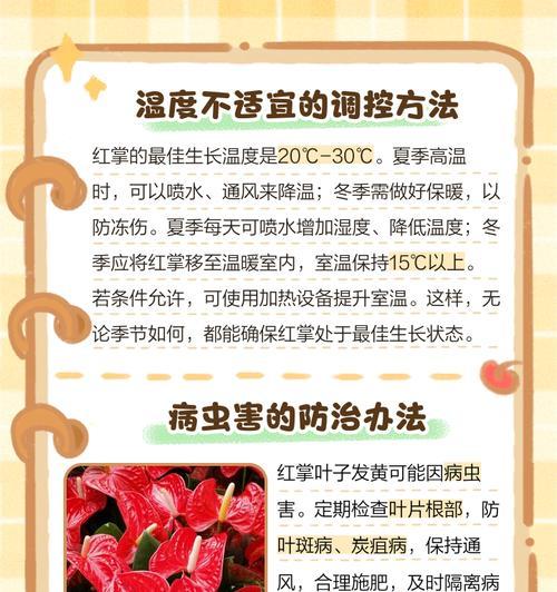 红掌花叶子发黄的补救方法是什么？