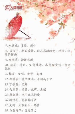 筒叶菊的养殖方法和注意事项是什么？