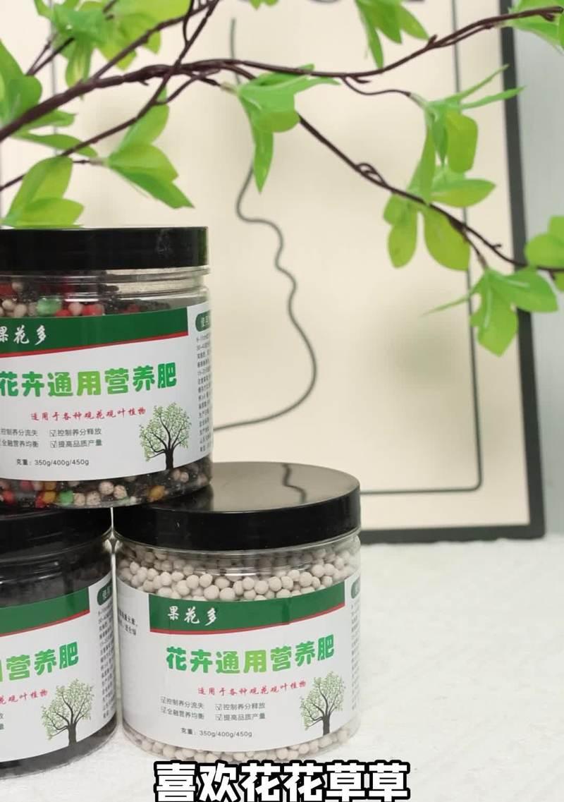 盆栽花卉应该施什么肥料？施肥的正确方法是什么？
