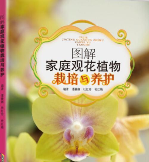 花带植物有哪些种类？花带植物的搭配和养护技巧是什么？