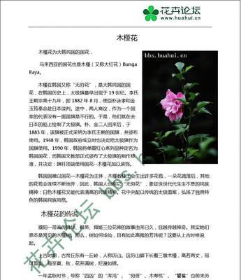 木槿花的花语是什么？它代表了哪些含义？