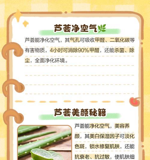 家养芦荟的使用方法是什么？有哪些功效？