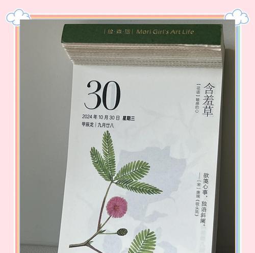 夏季含羞草的正确养护方法是什么？