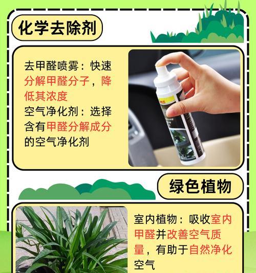 哪些植物能有效除甲醛？它们的净化效果如何？