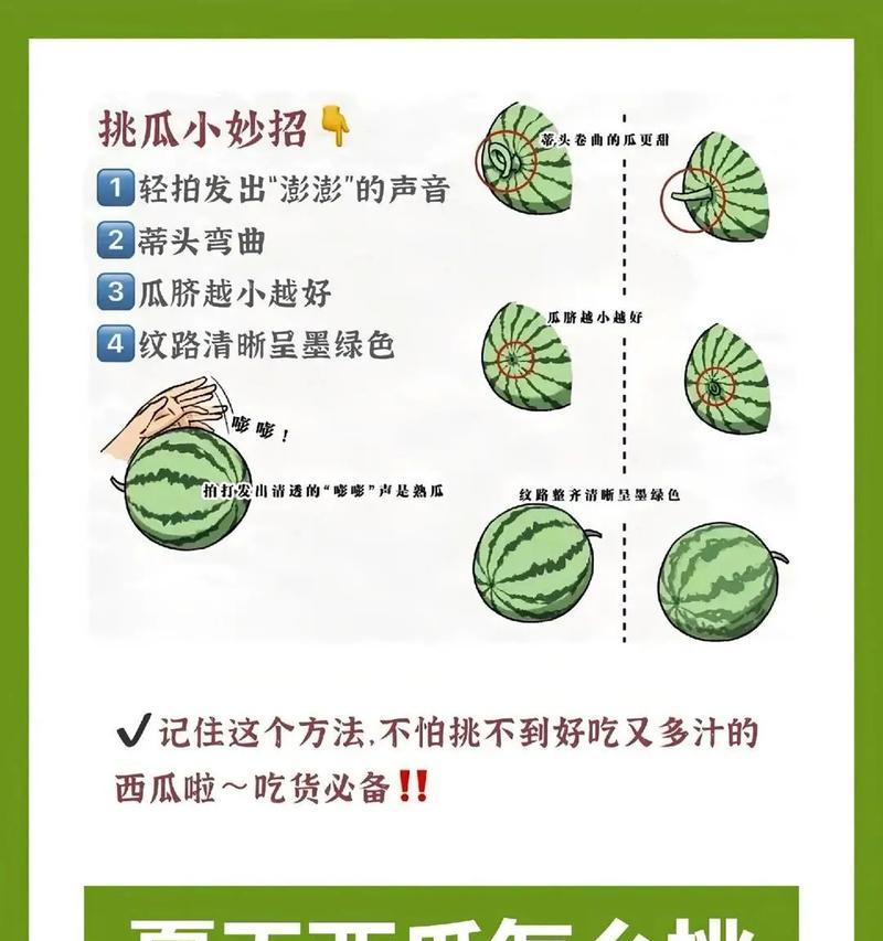 西瓜种植过程中需要注意哪些问题？