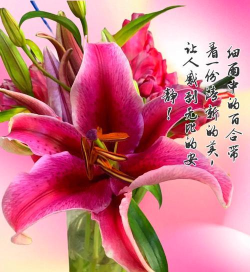 海虎兰养殖的注意事项有哪些？