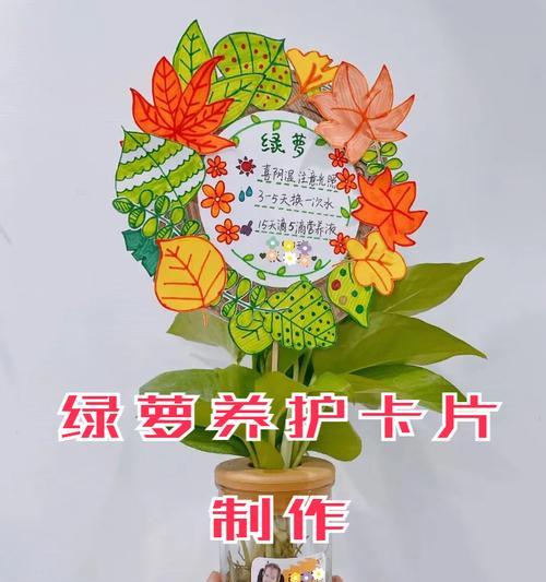 绿萝有小黑虫怎么回事？绿萝小黑虫的防治方法有哪些？