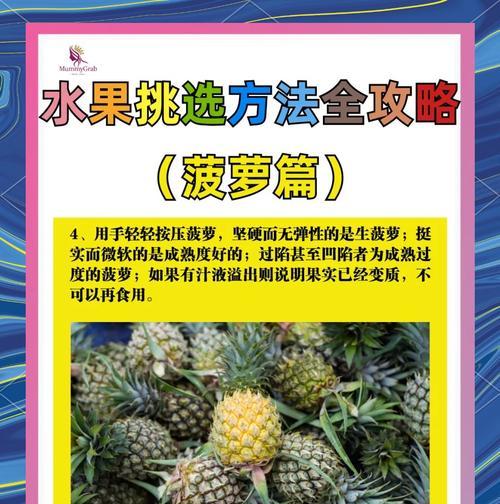 菠萝怎么种的？菠萝种植的步骤和技巧是什么？