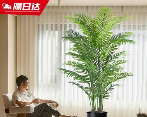 散尾葵编织造型的方法是什么？