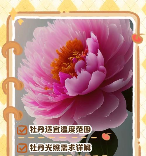 牡丹属于什么科的植物？牡丹的生长习性和养护方法是什么？