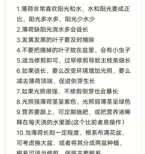 薄荷是怎么繁殖的？薄荷的繁殖方法有哪些？