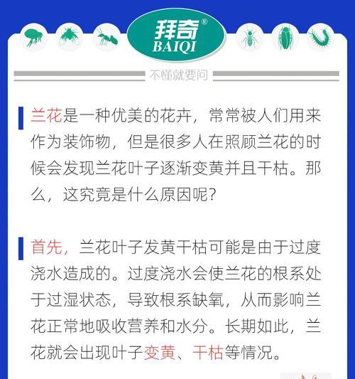花卉叶子干枯的原因及解决措施是什么？