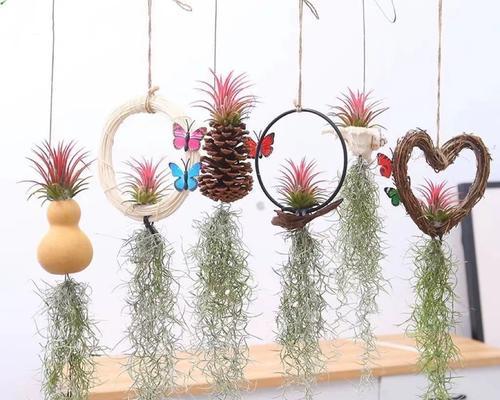 吊挂植物有哪些？如何选择适合的吊挂植物？