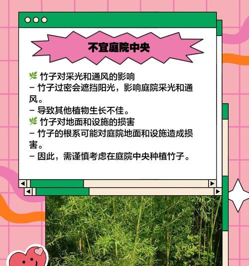 竹子移栽的最佳季节是什么时候？