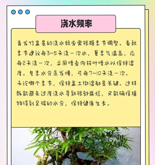 竹子移栽的最佳季节是什么时候？