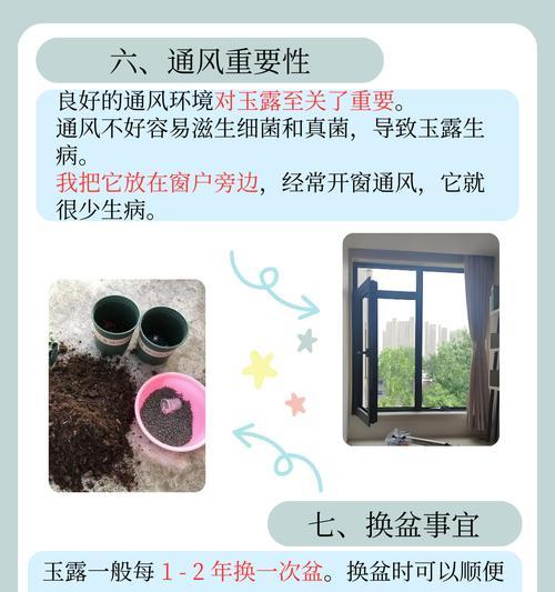 草玉露浇水需要注意什么？如何避免根部腐烂？