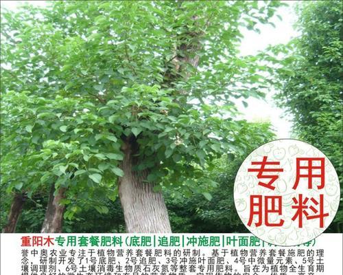 复合肥的正确施肥方法是什么？