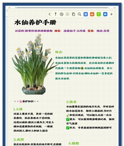 水仙根部腐烂的处理方法？