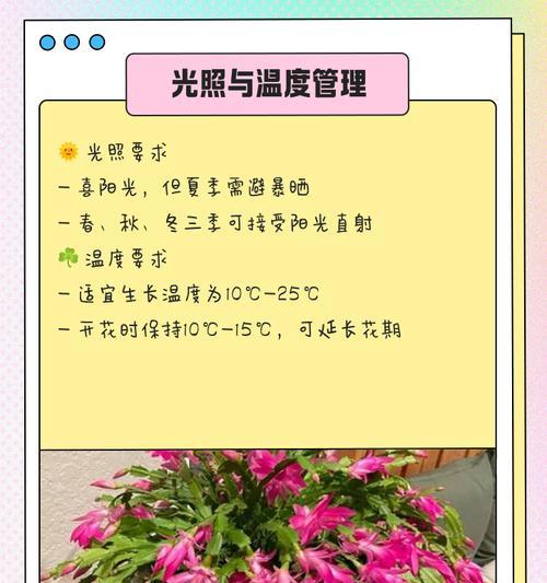 蟹爪兰施什么肥？蟹爪兰的施肥方法与肥料类型是什么？