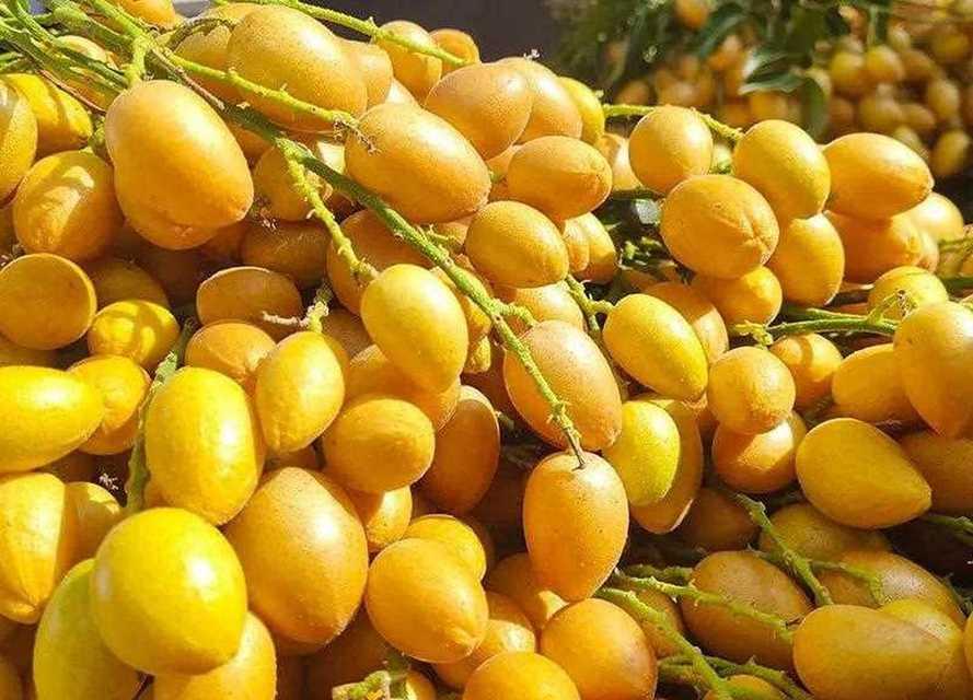 哪些水果属于黄皮类？它们的营养价值如何？