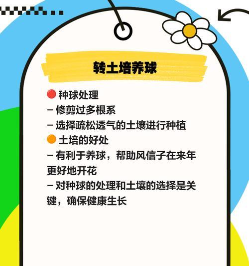 风杏子的养殖方法和注意事项是什么？