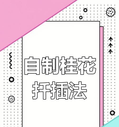 桂花插枝成活率高的秘诀是什么？