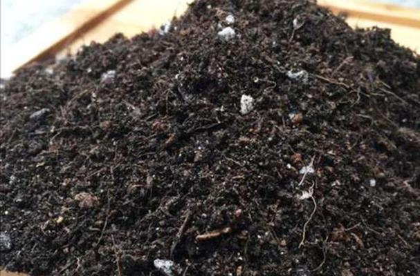自制酵素花肥的步骤是什么？酵素花肥对植物有哪些好处？