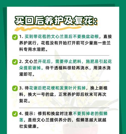 文心兰的正确浇水方法是什么？如何避免过度浇水？