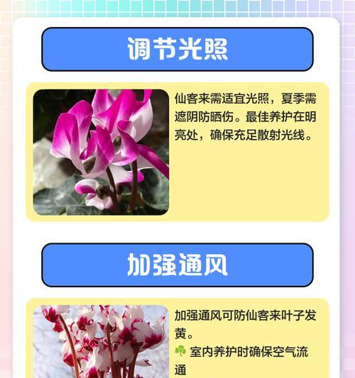 老叶子发黄的处理方法有哪些？