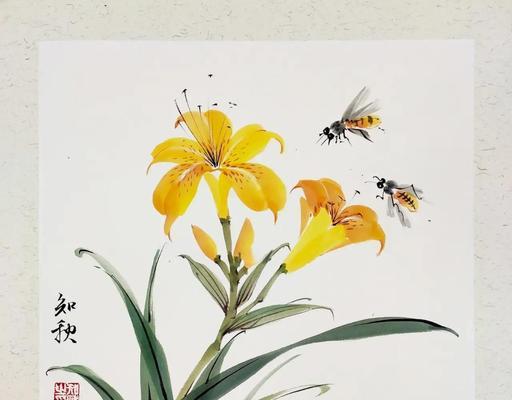 忘忧草的养殖要点是什么？如何养好忘忧草？