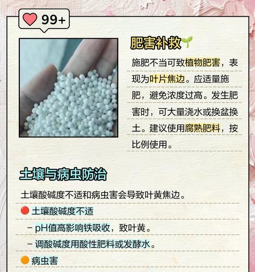植物叶子焦边是什么原因造成的？