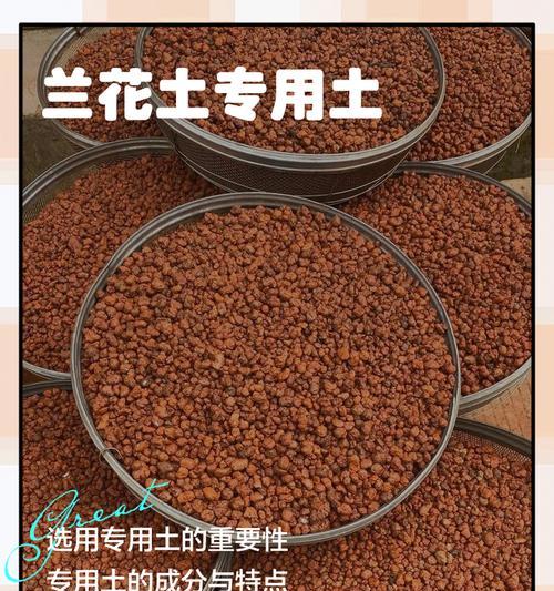 兰花土的配制技巧有哪些？如何制作适合兰花的土壤？