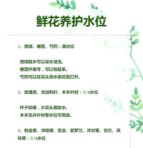 水培花卉换水的正确方法和频率？