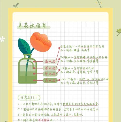 水培花卉换水的正确方法和频率？