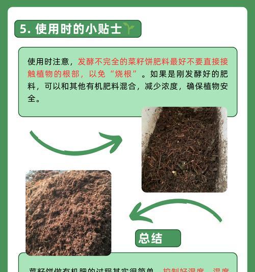室内植物适合使用哪种肥料？如何正确施肥？