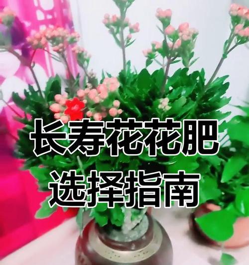 室内植物适合使用哪种肥料？如何正确施肥？