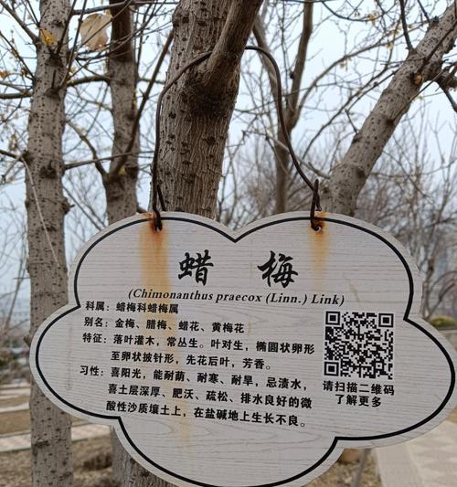腊梅花语有哪些含义？