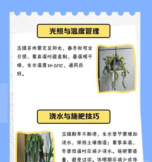 新玉缀繁殖的简单方法有哪些？