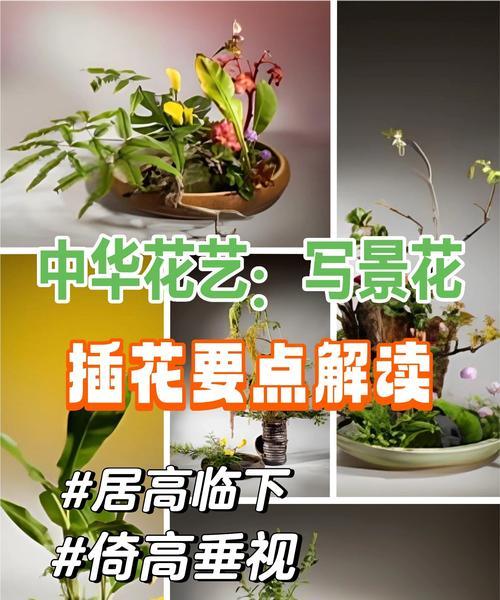 插花花品种有哪些？如何搭配插花花品种？
