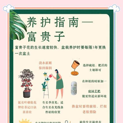 富贵树剪枝的最佳时机和方法是什么？