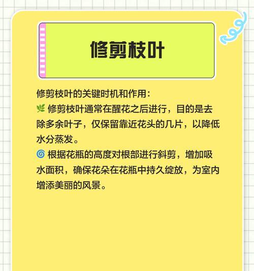 切花玫瑰的养护方法和保鲜技巧？