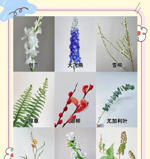 插花花期如何延长？有效方法有哪些？