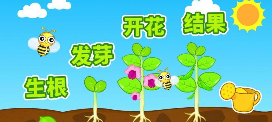 长生草繁殖的正确步骤是什么？