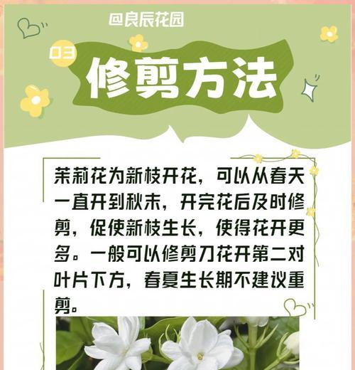 养花有哪些必备技巧？如何打造一个健康美丽的花园？