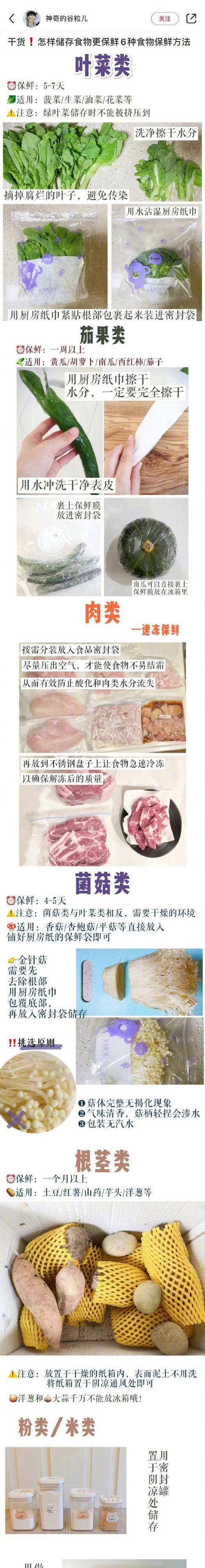 人参榕繁殖的正确方法是什么？