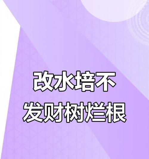 水培发财树烂根怎么办？可能的原因和解决方法是什么？