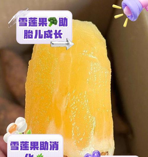 雪莲养殖的秘诀是什么？如何在家中成功养殖雪莲？