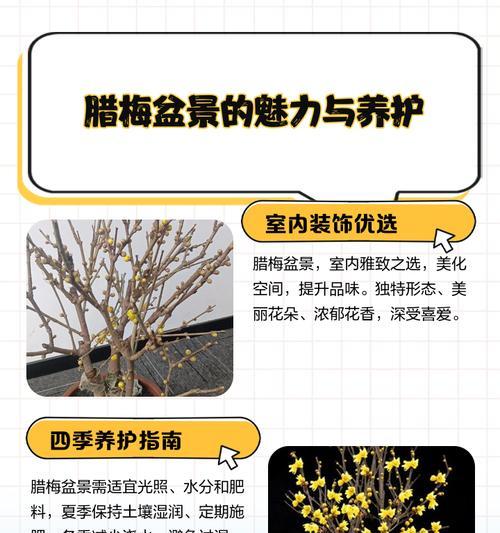 腊梅的养殖方法和注意事项是什么？