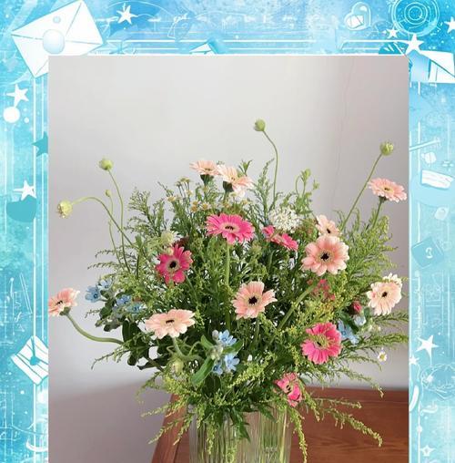 非洲菊有哪些品种？非洲菊品种的挑选技巧？