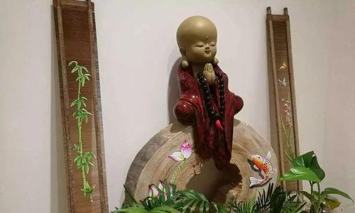 静夜的养护技巧有哪些？如何保证静夜的健康生长？